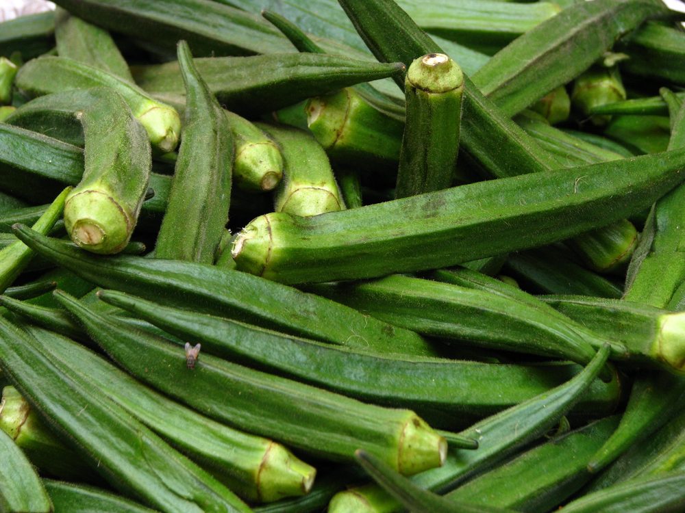 Okra